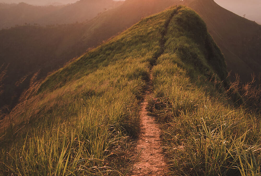 Narrow path