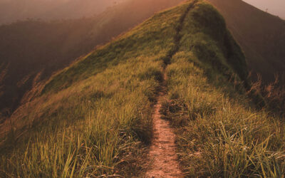 Narrow path