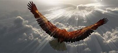 Eagles wings!