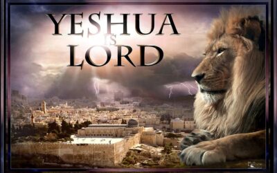 Every tounge will confess, Yeshua is Lord!